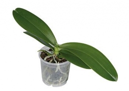 WhatsApp Image 2020-01-17 at 2.34.09 PM