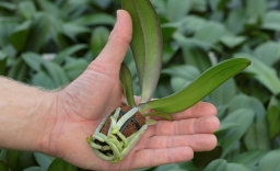 WhatsApp Image 2020-01-17 at 2.34.10 PM